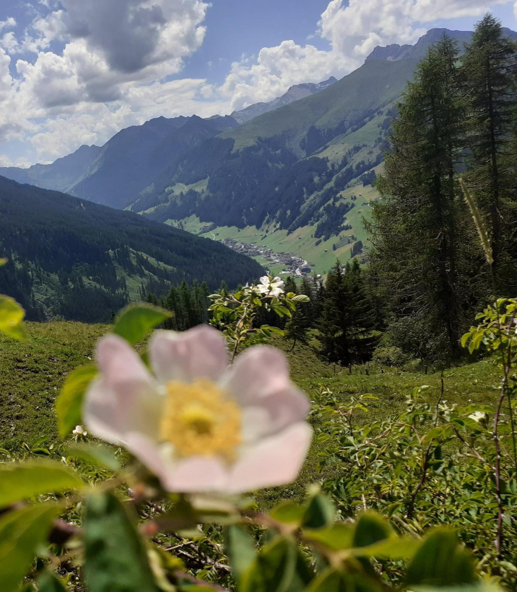 Haus Ausblick Tux